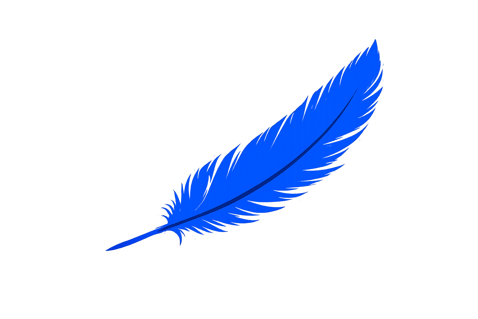 Bluejay Digital